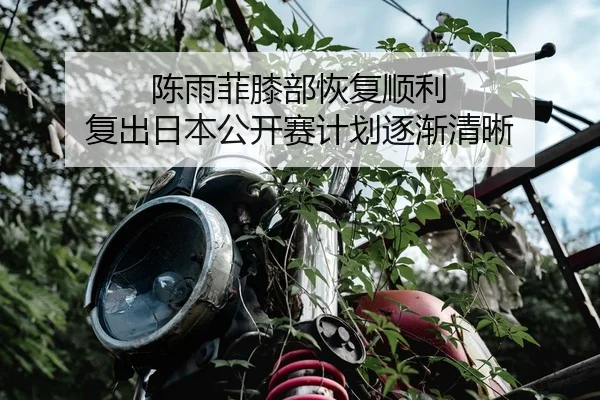 陈雨菲膝部恢复顺利 复出日本公开赛计划逐渐清晰